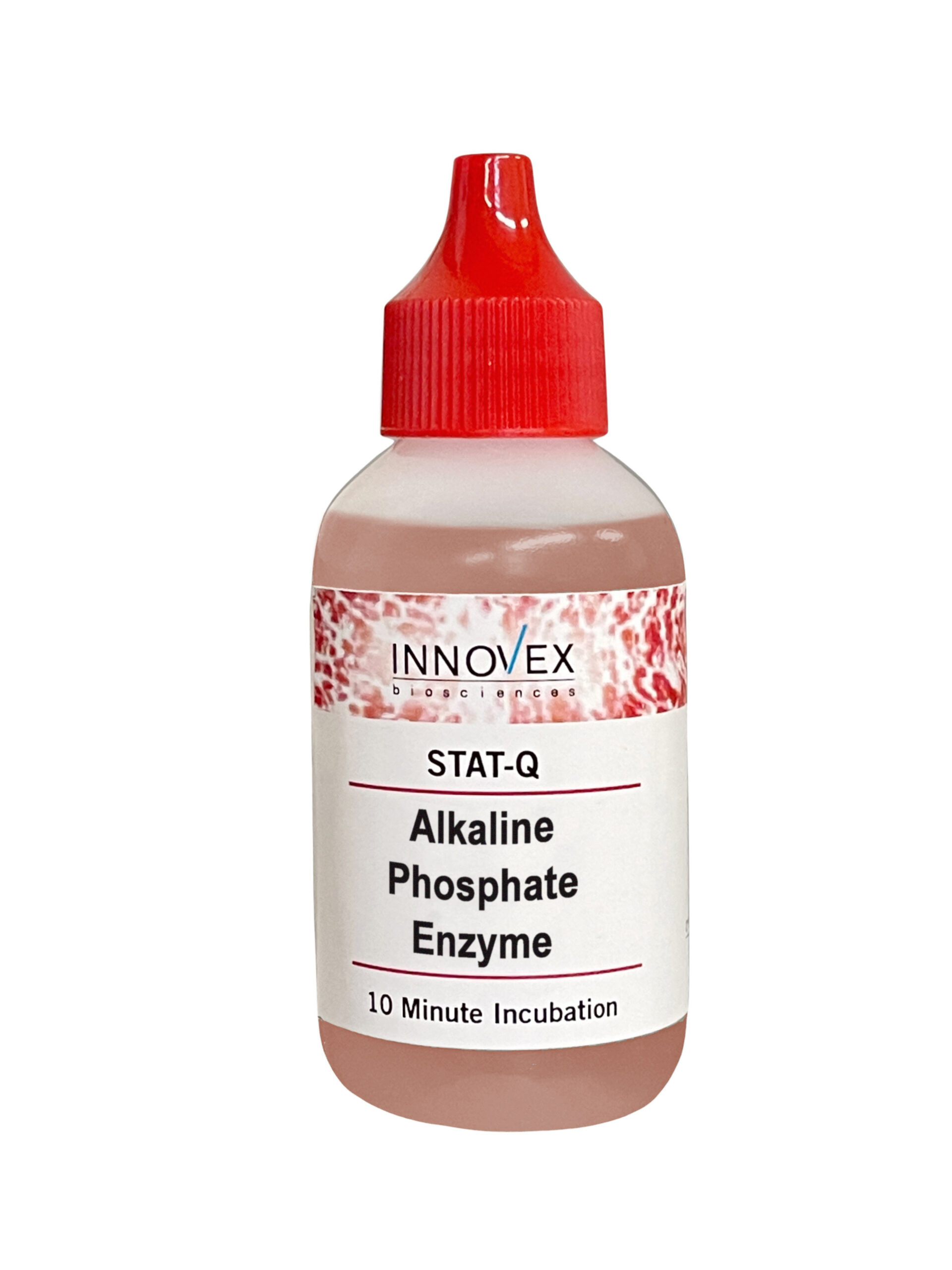 STAT-Q Alkaline Phosphatase Enzyme, Ready-To-Use